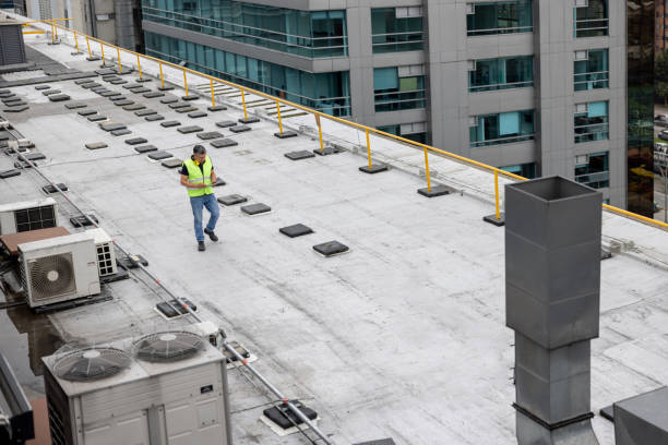 Best Roof Maintenance and Cleaning  in Staic, CA